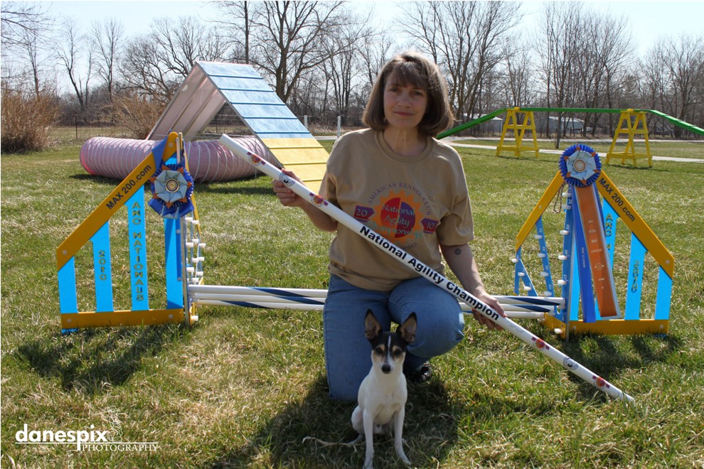 Picture of Blink
